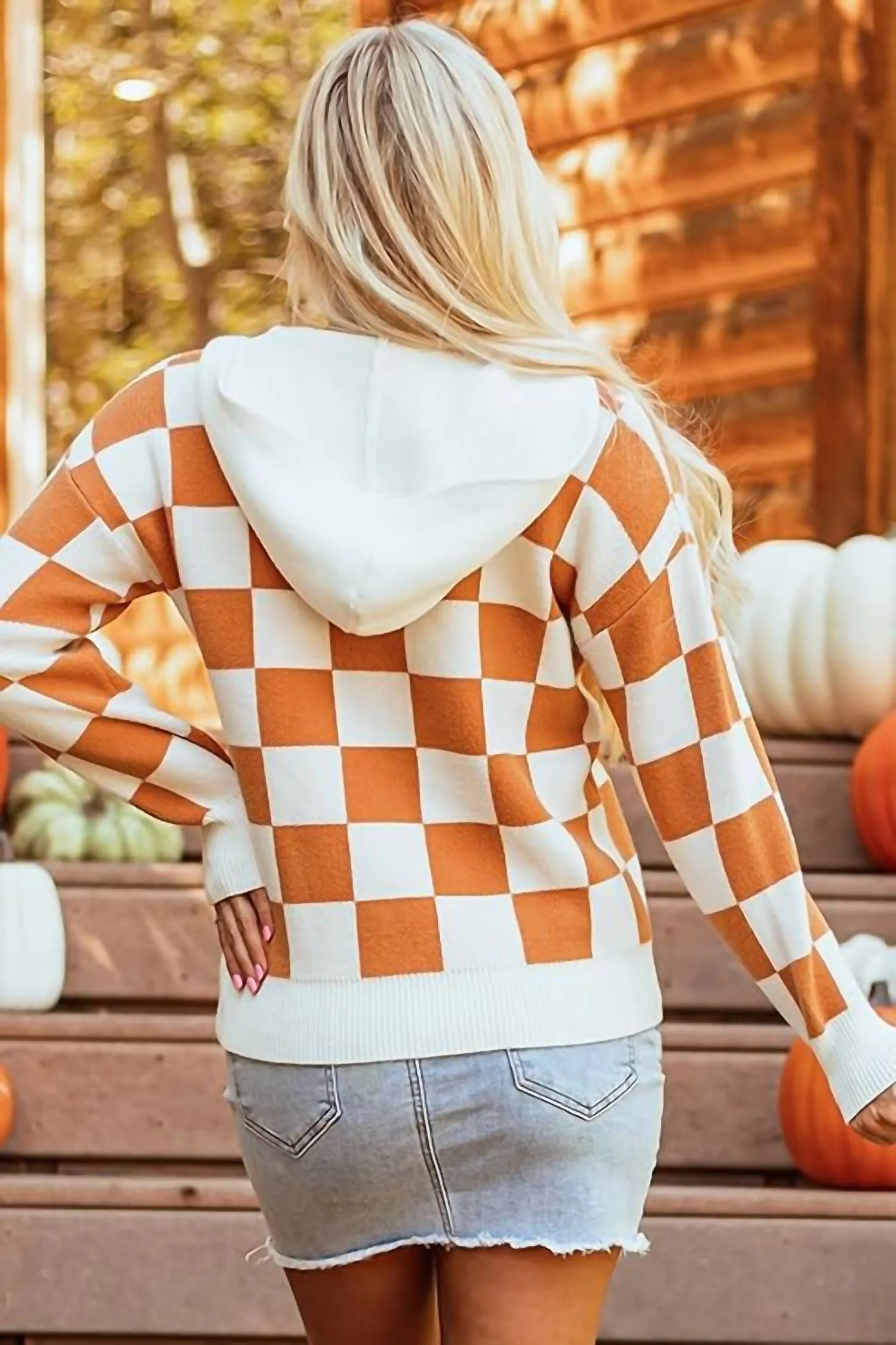 1 The Woman - Long Sleeve Check Sweater