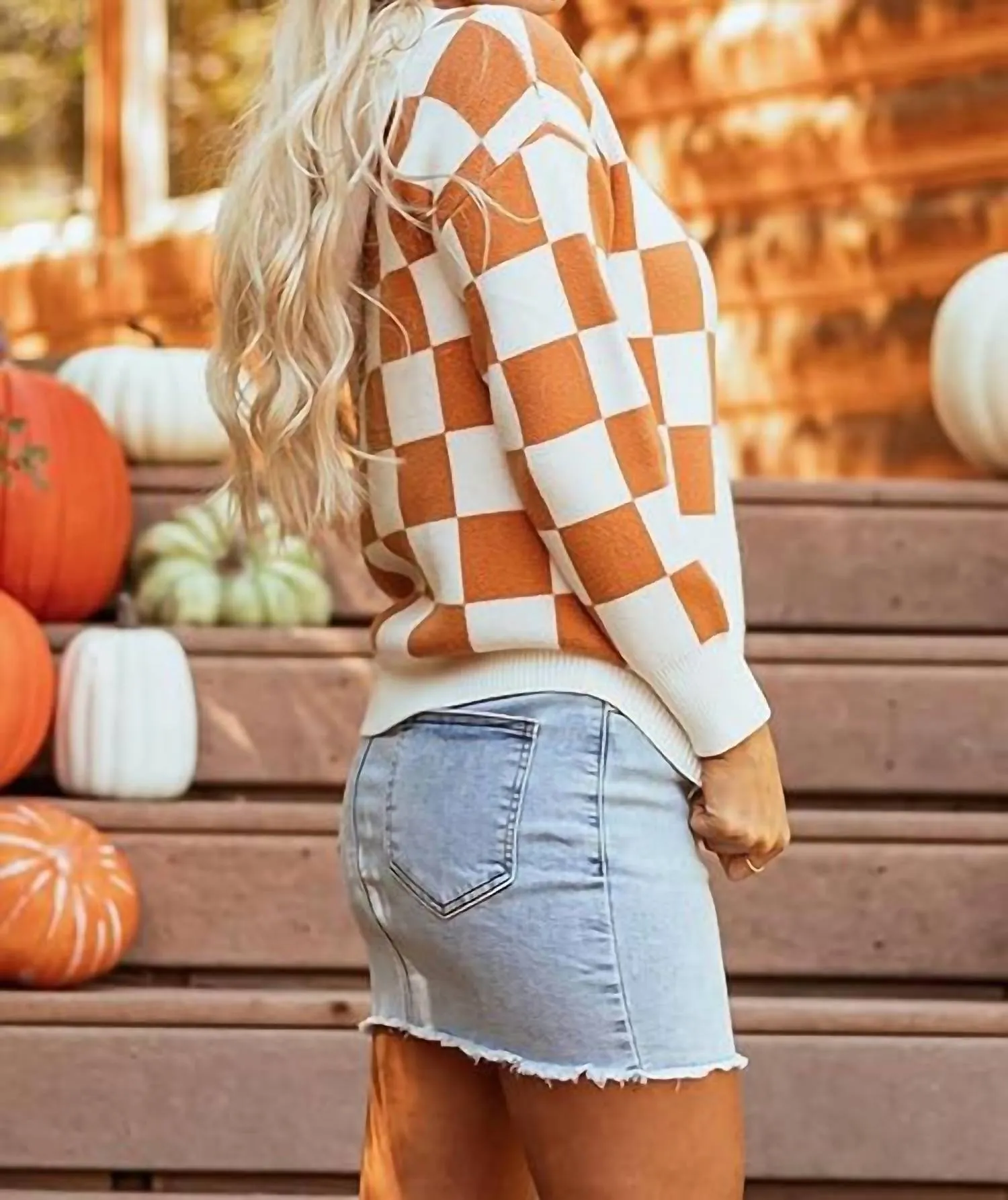 1 The Woman - Long Sleeve Check Sweater