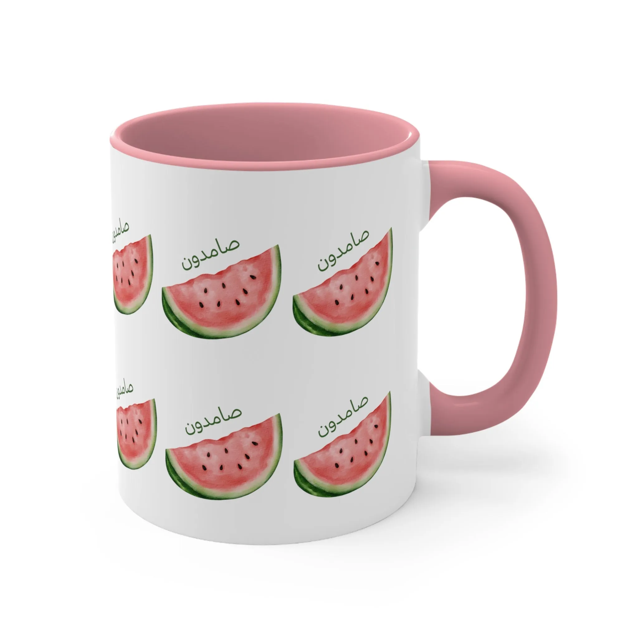 Samidoon Watermelon 1 Mug