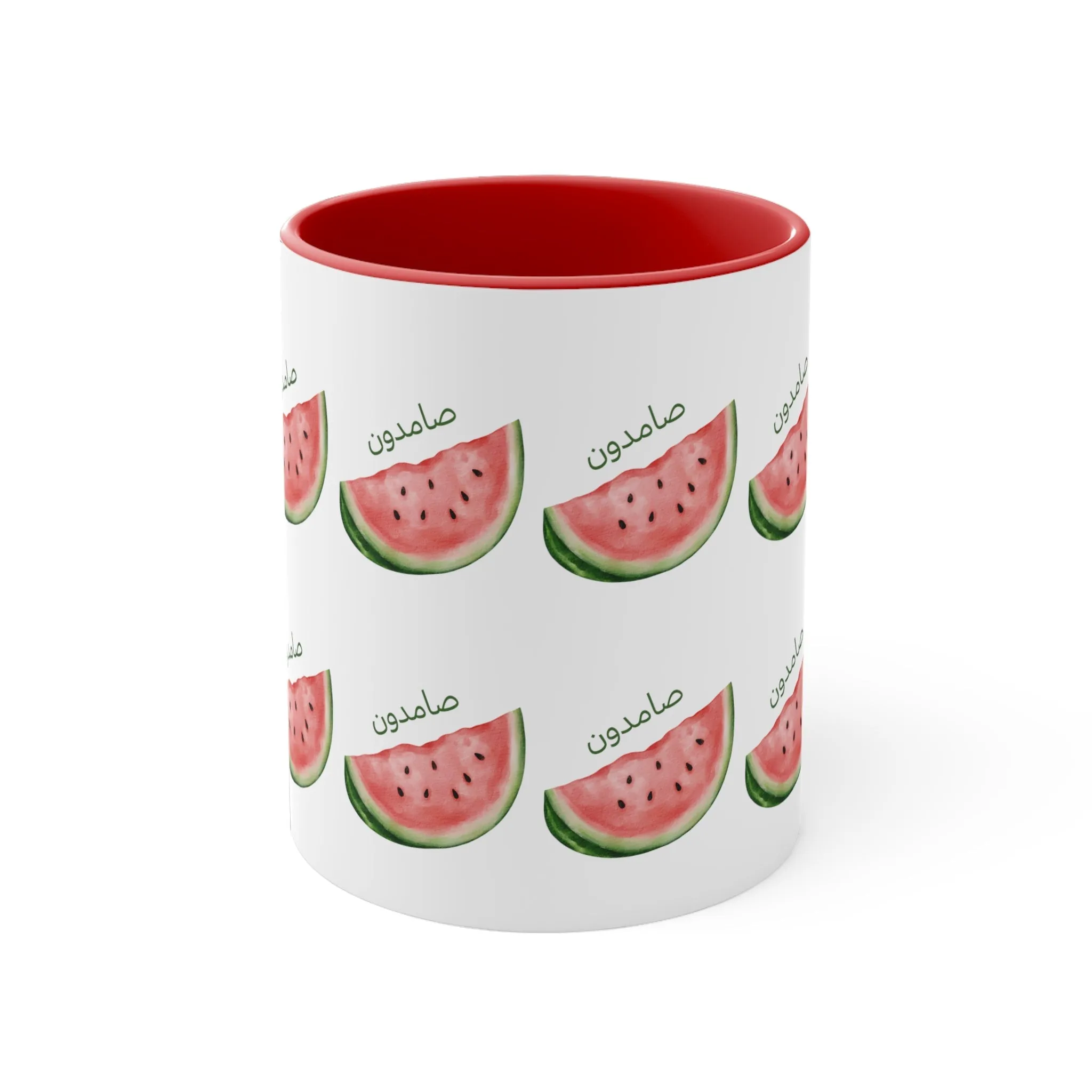 Samidoon Watermelon 1 Mug