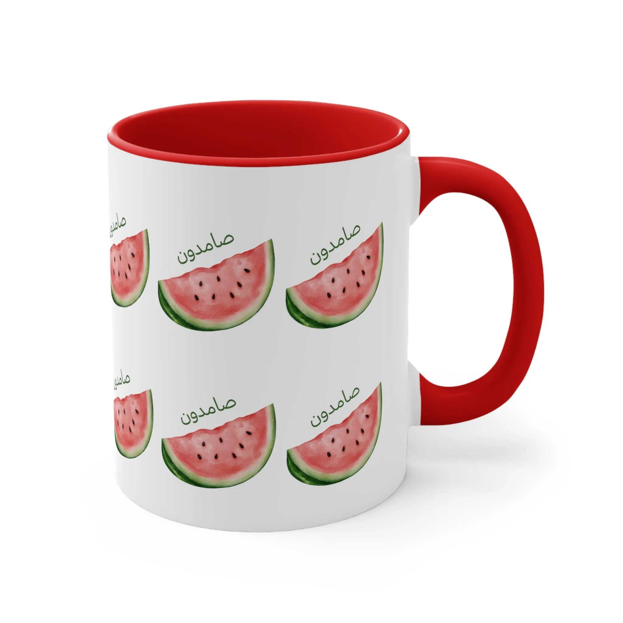 Samidoon Watermelon 1 Mug
