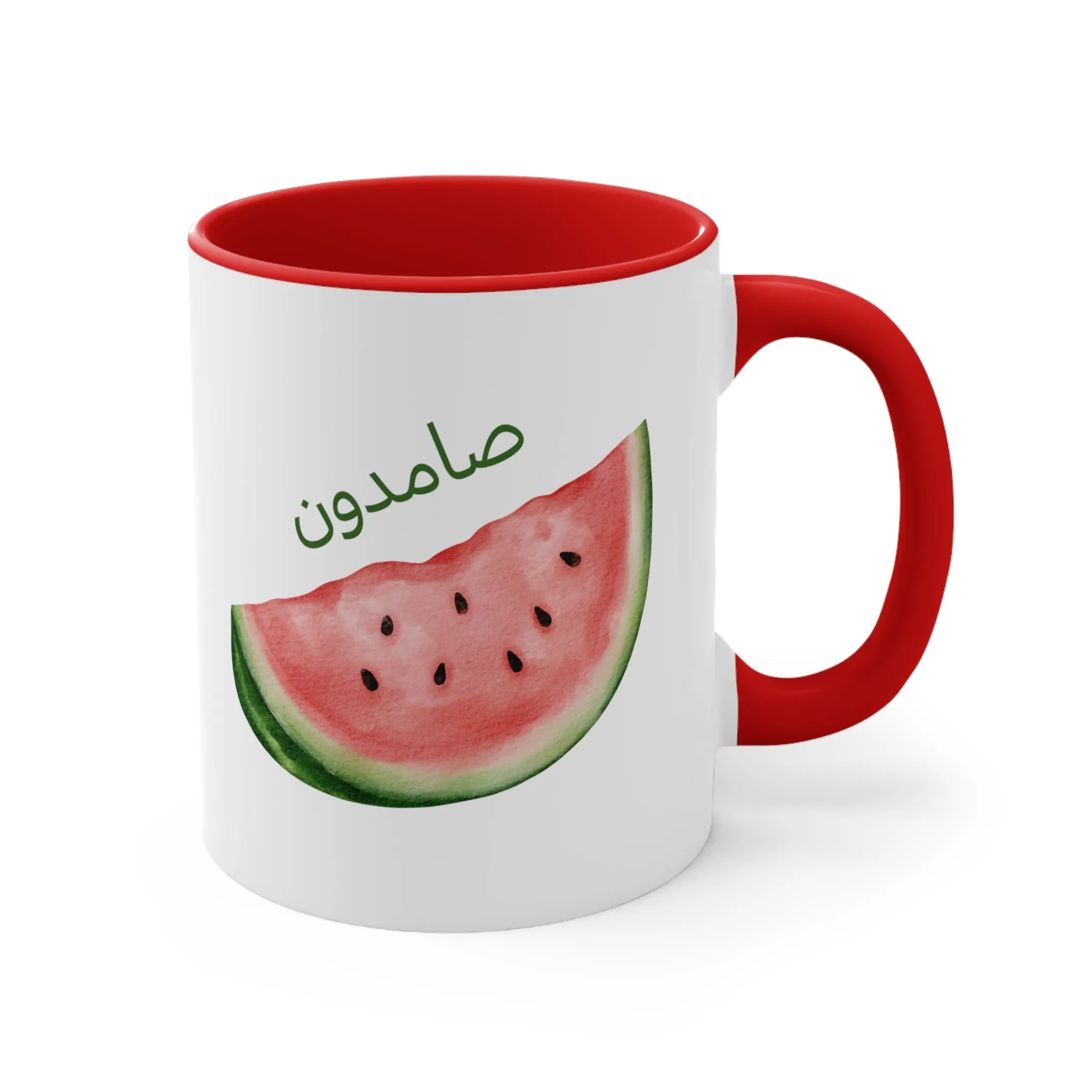 Samidoon Watermelon 2 Mug