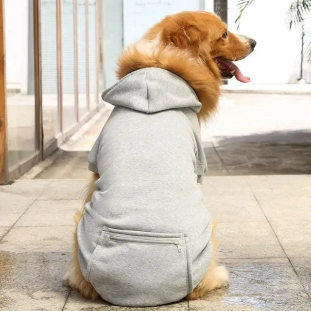 Warm Hoodies for Dogs
